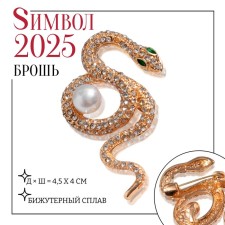 New Year! Symbol of the year 2025! Brooch 