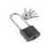 The castle of the hinged "Allur" VS1Ch-330d, the long arc d = 5 mm, 5 keys