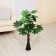 Artificial tree "Fatsia" 80 cm