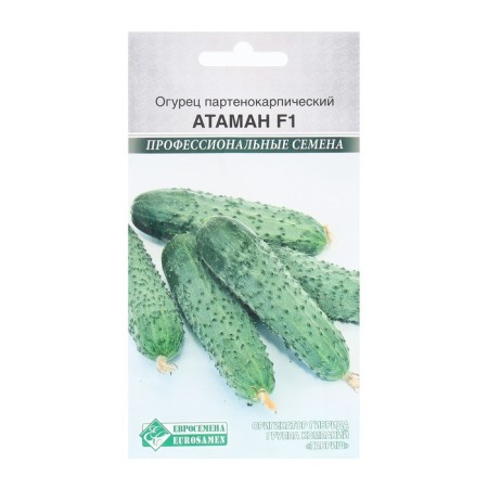 Seeds Cucumber Partenocarpic Ataman F1, 5 pcs