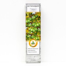 Actinidia Argut 