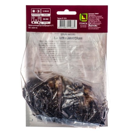 Lilia Asian terry Spargo, 14/16 rr, 2 pcs. 90 h (cm), autumn 2024-1