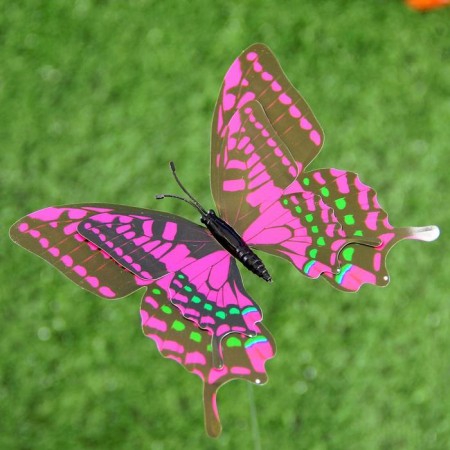 Plug "butterfly octavia" 8x10cm/25cm, mix-22