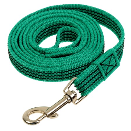 Kaponnoye zonik leash with latex thread, 2 m x 2 cm, green