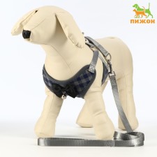 A set of ammunition with a soft harness, XL, leash 120 x 1.5 cm, Osh 38-52 cm, OG 42-60 cm, gray 7119