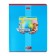 A set of subject notebooks of 48 sheets "Bright color", 10 items, covered cardboard, selective varnish