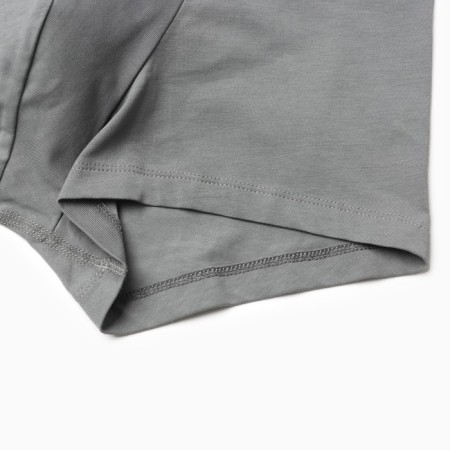 Set of men's panties boxers (2 pcs), gray color, size 46 (s)-4