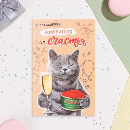 Postcard "With wishes to shit with happiness!" Cat with caviar, A5-1
