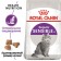 Dry food RC Sensible for cats with sensitive gastrointestinal tract, 15 kg