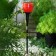 Garden lamp on the solar battery "Tulip Red", 4.5 × 29 × 4.5 cm, 1 LED, glow white