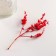 Set of dried flowers "chandra", banch length 40 (+/- 6 cm), red