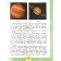 4th grade. The world. Part 1. GEF. Pleshakov A.A.