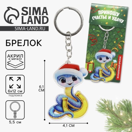Acrylic keychain "Magic keychain", 3.9 x 5.6 cm