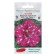 Flowers of Petunia Color multi -flowered funny artist Dot Star Pink F1 7 pcs.