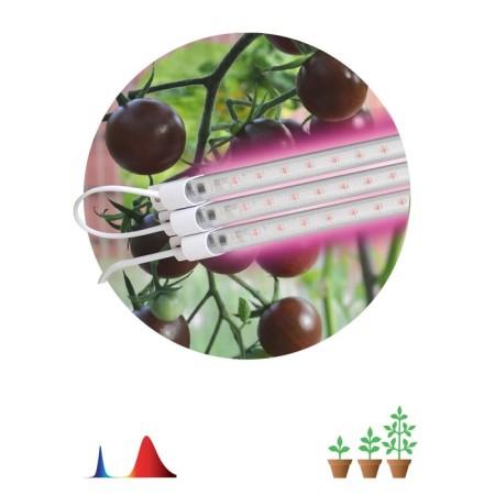 Modular lamp for plants ERA Fito-3x10w-line-RB90 red-blue spectrum 30 W