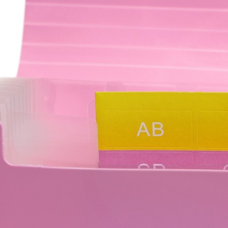 Elastic band A6, 12 departments, patterns, pink pastel-4