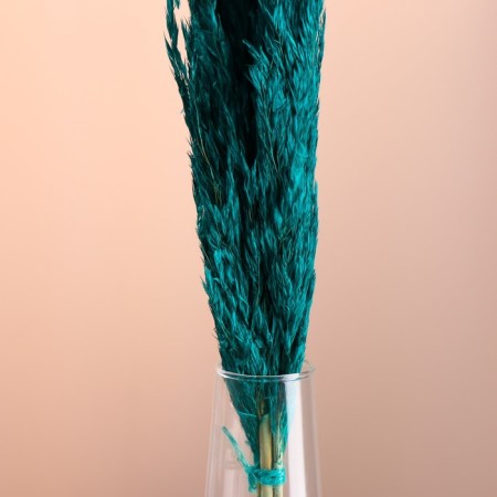 Set of dried flowers "reed", banch length 65 (+/- 6 cm), emerald-1