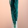 Set of dried flowers "reed", banch length 65 (+/- 6 cm), emerald