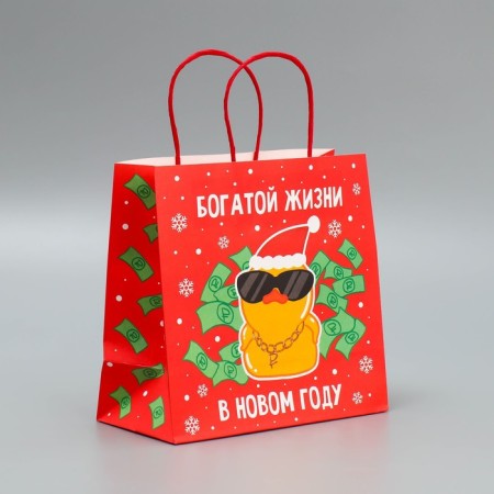 Package Gift Crafts "Something on the Rich", 22 x 22 x 11 cm, New Year