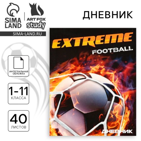 School diary for grade 1-11, in an integrated cover, 40 l. "Extreme Football"