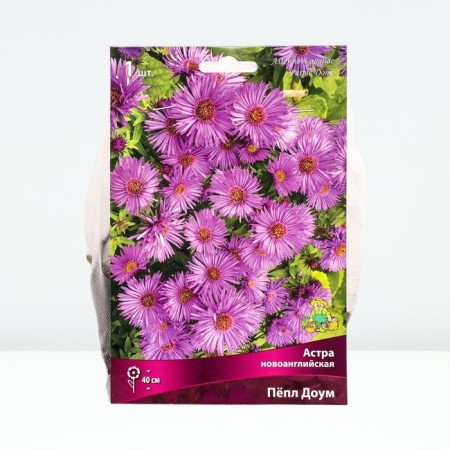 Astra New English Pyup Um, Rr. I, 1 pc, Spring 2025