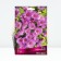 Astra New English Pyup Um, Rr. I, 1 pc, Spring 2025