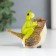 Souvenir Polystone "Frog on the thorns" 6x3x5.4 cm