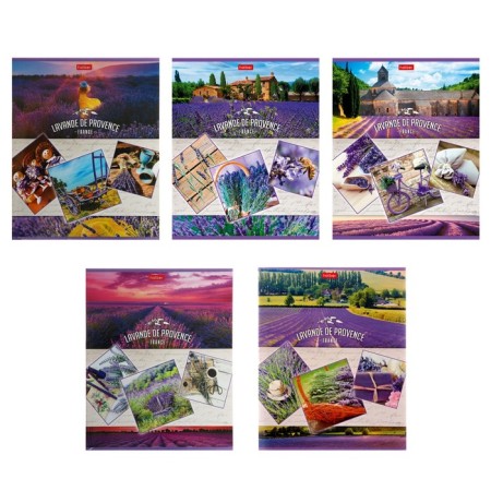 A notebook of 96 sheets in the Lavender Dreams cage, cardboard cover, 5 types, mix