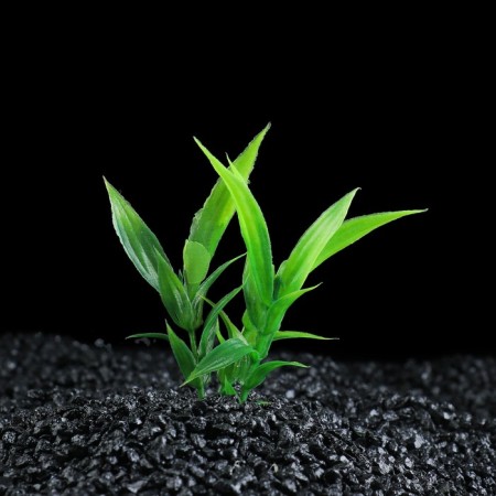 The artificial aquarium plant is small, 9 cm