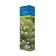 Mining hydrangea (Northern Garden series) "Tardiva" 1 pc, tube, spring 2025