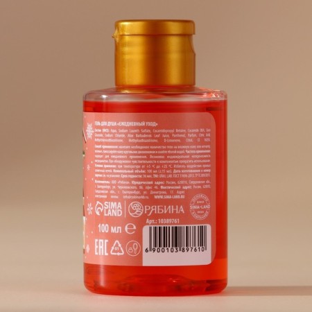 Shower gel, 100 ml, aroma of apple mulled wine, Ural Lab-2