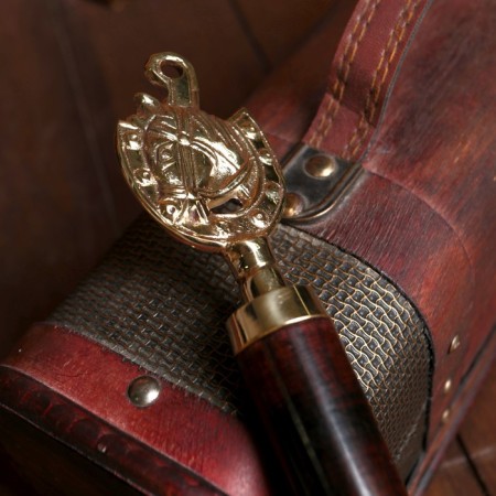 Spoon for shoes "Horse in the horseshoe" Brass 4x2.5x52 cm-1