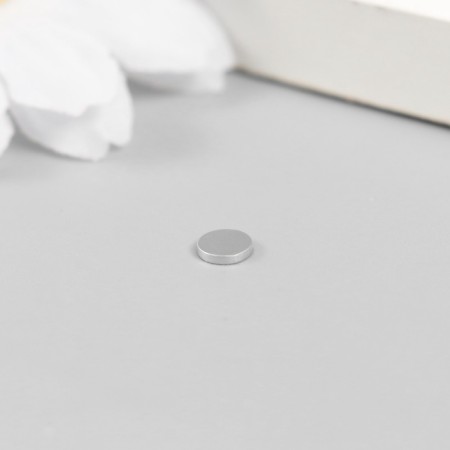 Magnet Technical Silver Circle 5x5x1 mm-3