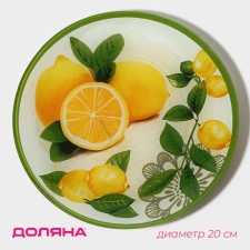 The plate of the lunch share 