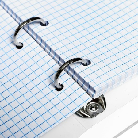 A notebook on rings A5 80 sheets in the Calligrata "Anime" cage, plastic cover, offset unit-6