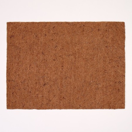 Coconut fiber rug, 40 x 30 cm-1