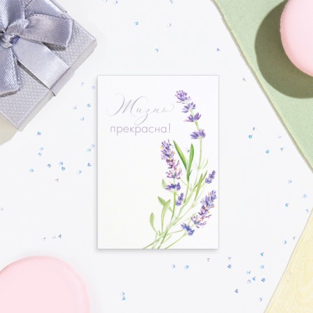 Set of mini -postcard "Flowers - 1" Pink background, 33 pieces, 7.5x10.5 cm-9