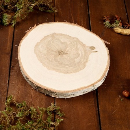 Saw a birch gripped on one side, diameter 18-22 cm