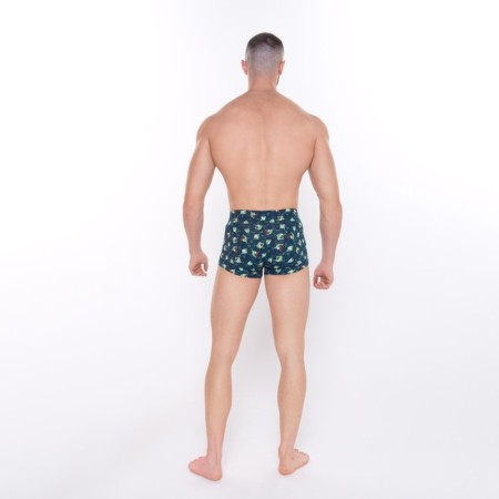 Panties men's boxers "toads", blue color, size 48 (m)-4