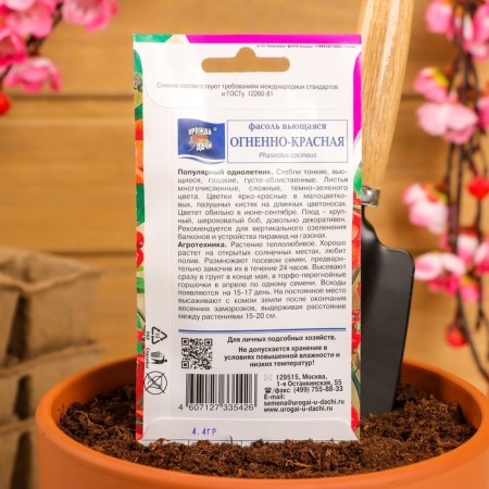 Flowers of beans "Blaging", fiery red, 5 g-3