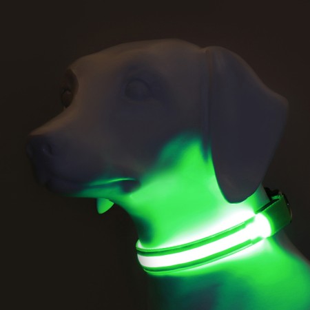 Collar with backlight double strip size XL, Osh 52-60 x 2.5 cm, 3 glow modes Green-1