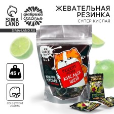 Жевательная резинка кислая «Рецепт кислых щей», 45 г.
