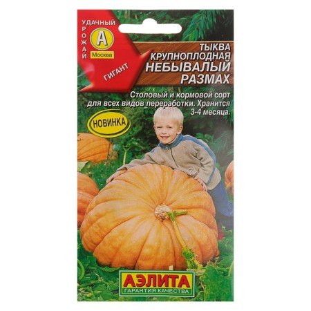 Large -fruited pumpkin seeds "unprecedented scope", 2 g