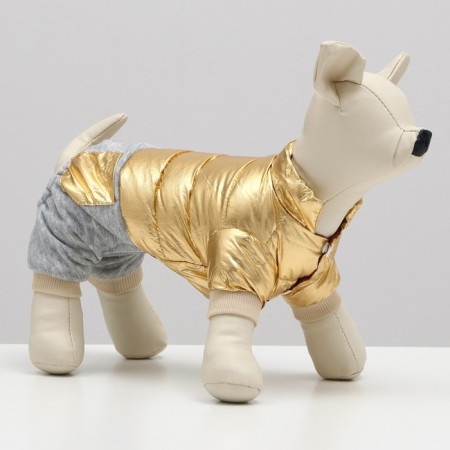 Kombinson "Cosmonaut", size 16 (DS 36 cm, og 46 cm, Osh 35 cm), golden