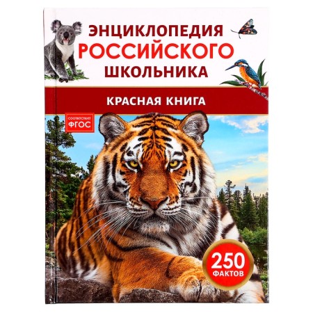 Encyclopedia of the Russian schoolchild "Red Book", 250 facts, GEF