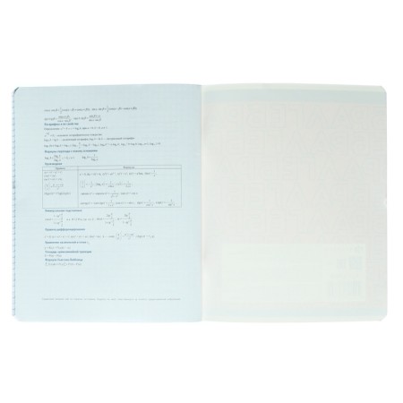 Notebook subject “phrases with character”, 48 sheets in the “algebra” cage, covered cardboard, selective twin-lak, UV-lak, block offset-5
