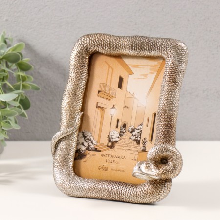 Photo frame Polystone 10x15 cm "Python" silver 15x4x17.5 cm-1