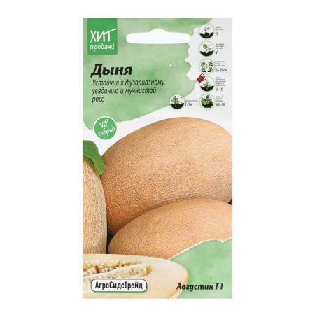 Melon seeds "Augustine", 5 pcs