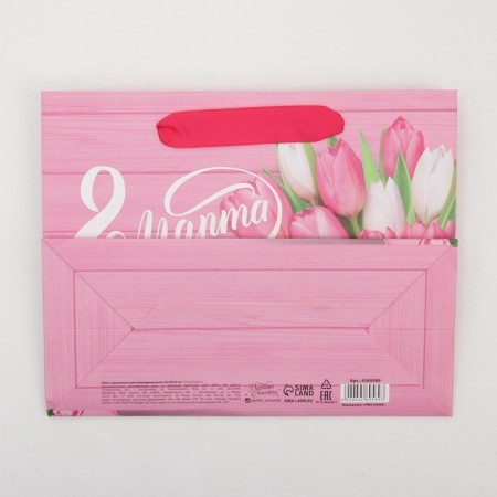 Package Gift Laminated Horizontal, Packaging, Women's Day, MS 23 x 18 x 10 cm-4