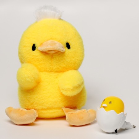 Napchik children with a soft toy "chicken"-2
